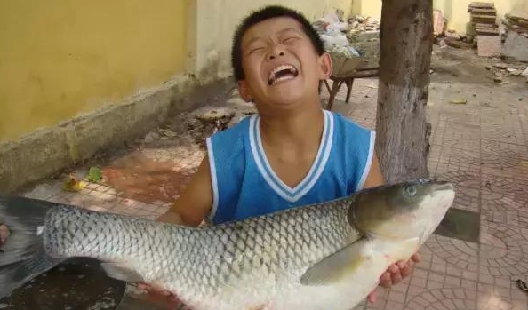 海竿水怪可以钓草鱼吗,海竿串钩挂什么钓草鱼