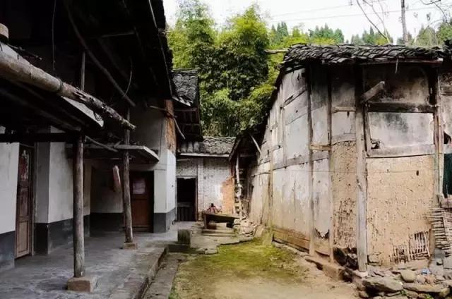 阿里山的姑娘邓禹平,阿里山的姑娘邓禹平结婚了吗