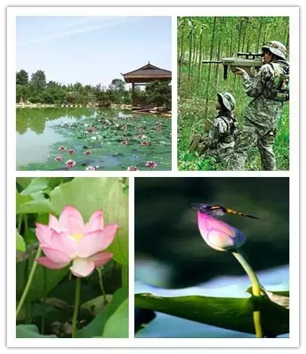 长沙农家乐钓鱼,长沙周边农家乐户外野炊烧烤攻略