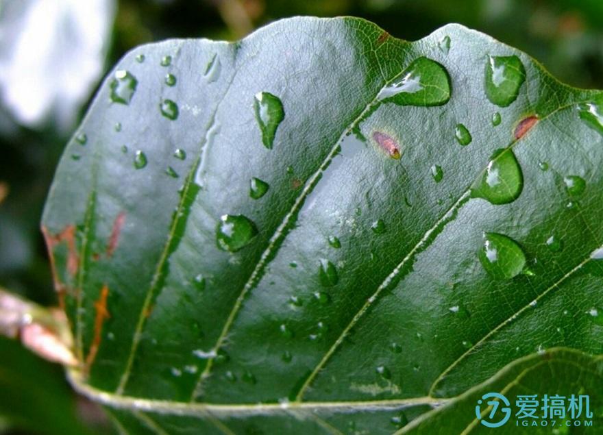 千元机魅蓝note6,魅蓝note3轻度使用测评