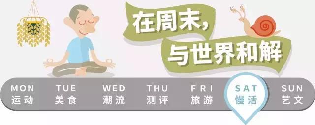 火进《纸牌屋》的奇妙手机游戏，竟然还是“门外汉”做的？