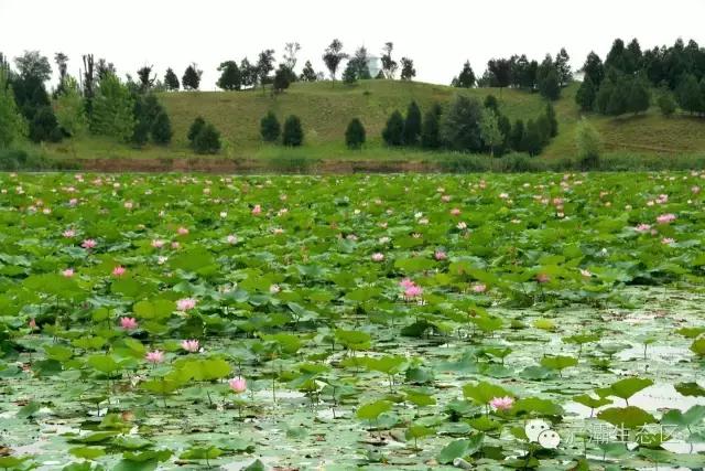 灞岸十里画廊和人山人海saybye~