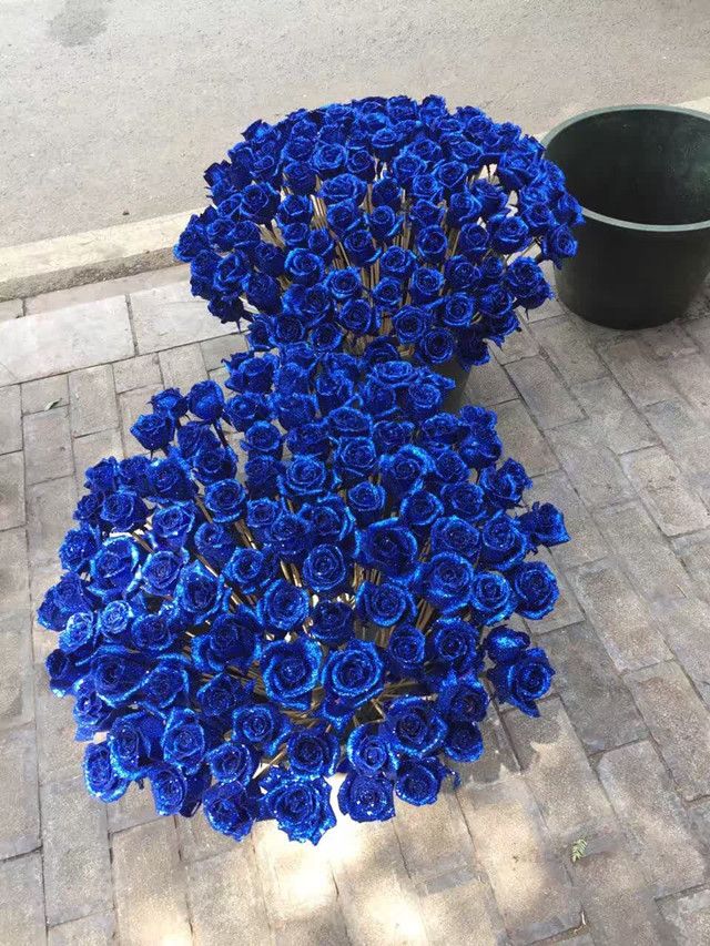 玫瑰“换衣”身价倍增染出来的“蓝色妖姬”你买吗？