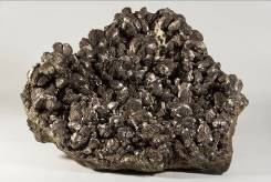 中国地质博物馆百年，这30件藏品亮瞎你的双眼