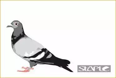 OG+让你从此告别苦逼的海淘路！