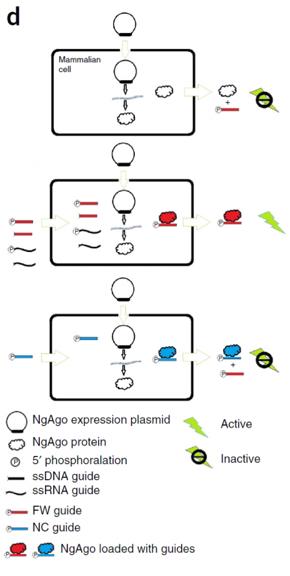 怎么看待韩春雨事件,公开质疑韩春雨的都有谁