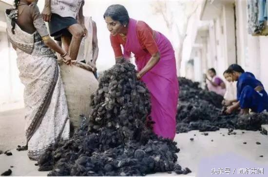 想拥有非洲最时尚的发型，有这坨牛粪就够了！