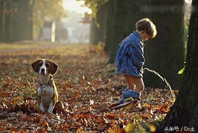 爱跑厕所是膀胱小？输尿管短？