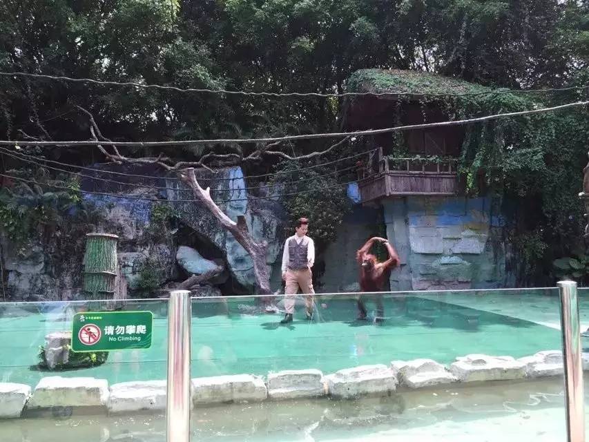 长隆野生动物园攻略亲子游三天,从广州长隆到珠海长隆亲子游攻略