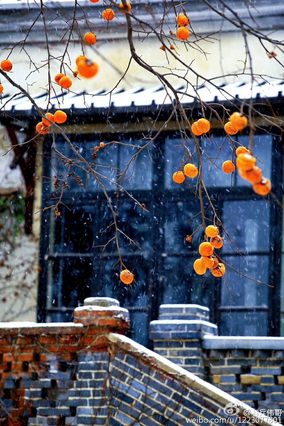 住下来，才知道旅顺口有多好