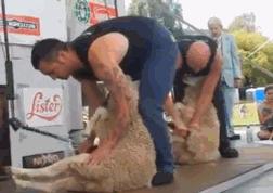 全是钱的搞笑段子,搞笑段子全是钱