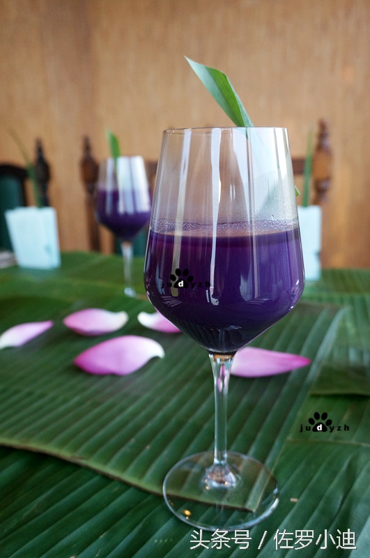 一晴方觉夏深，赴一场蘑菇的饕餮盛宴