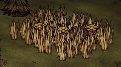 饥荒奇闻怪事全集,饥荒奇遇图文介绍