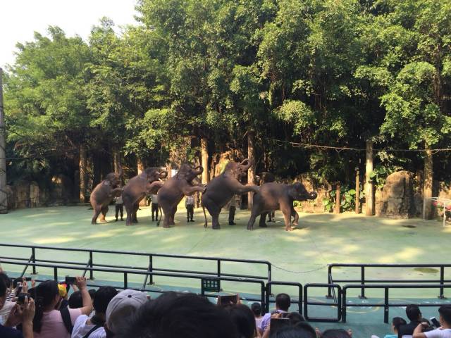 迪士尼暑假游玩攻略一日游最新,旅行攻略迪士尼