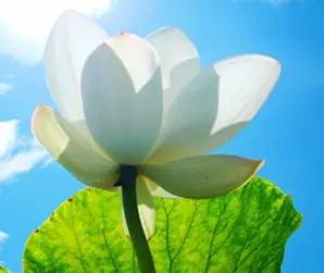 经常憋尿会引起肾脏疾病吗,刘旭生iga肾病4级有多严重