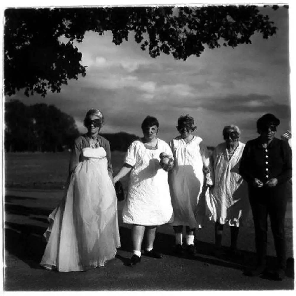 荷兰画家梵高珍珠少女,梵高女画家图片