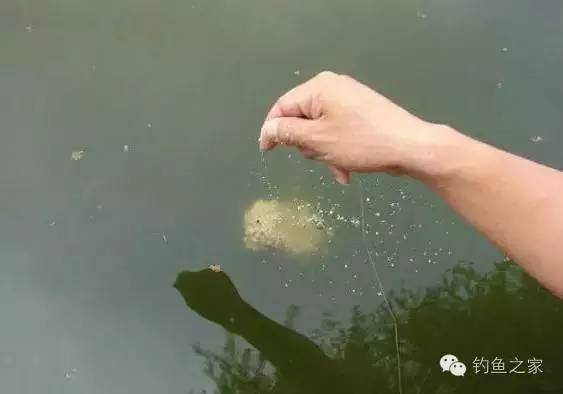 饵笼爆炸钩的使用方法,爆炸钩饵料状态怎么调