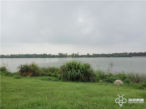 纯水岸东湖解读,武汉东湖纯水岸房价