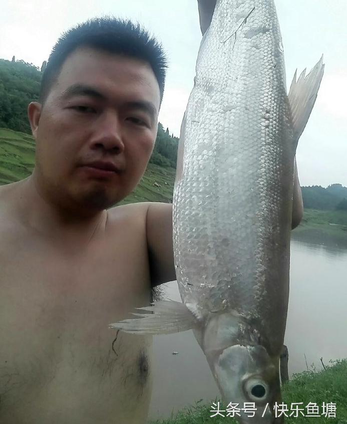 第一次钓鱼收获不错,晨钓该钓浅还是深