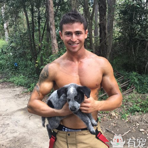 搜救犬看见消防员抱着小奶狗 (消防员训练发现小奶狗)