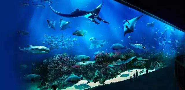 有钱，随性！出国旅游最舍得花钱的城市你知道吗？