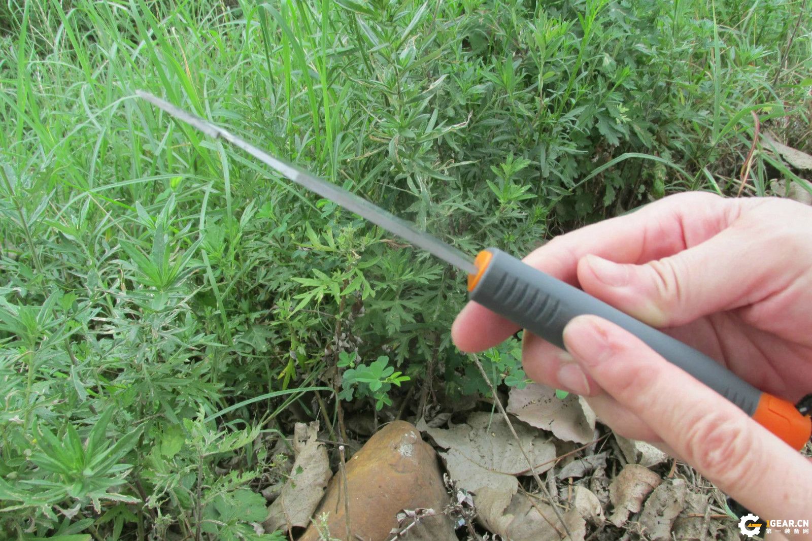 锋芒必露的效果,锋芒毕露战法