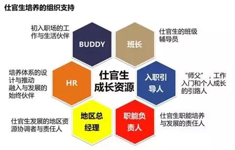 完善培养体系,健全培养体系