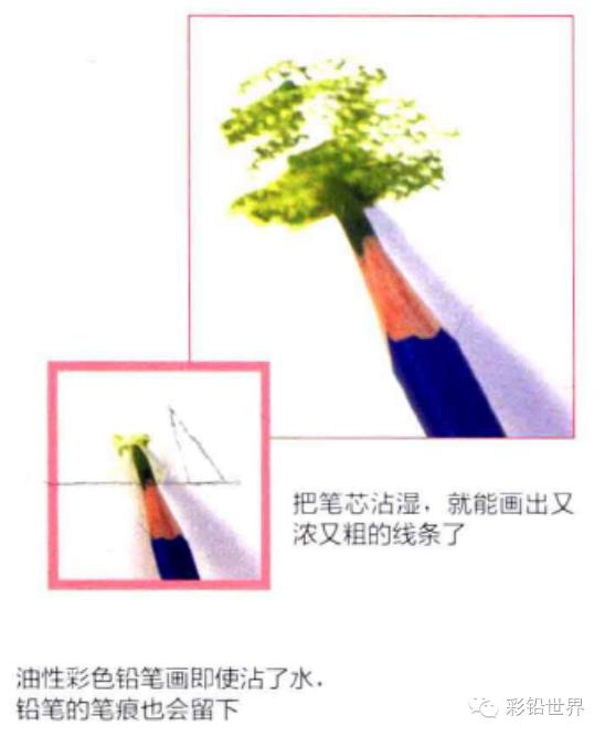水溶性彩色铅笔怎么玩,初学者使用什么样的彩色铅笔