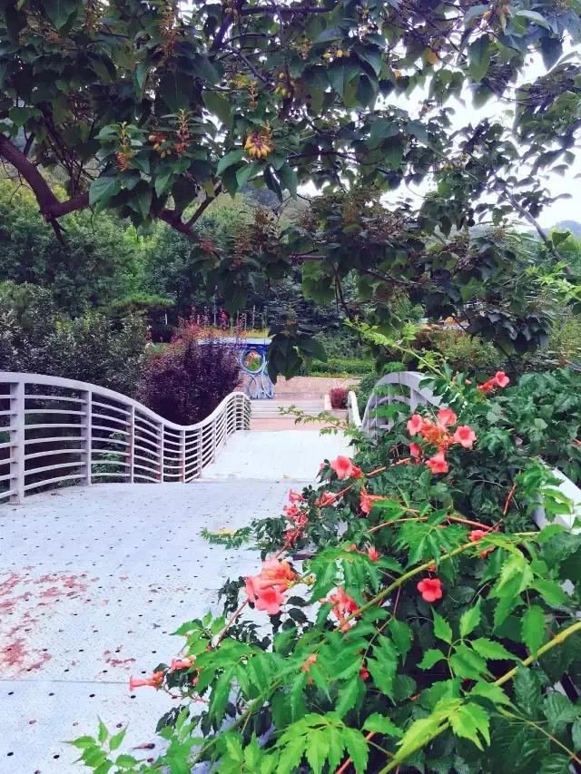 青岛游玩拍的视频,青岛旅游最适合拍照的地点