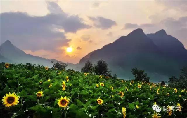 甘肃省第一美人是谁,陇南美女甘肃