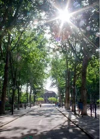 济南11月份有什么好玩的地方,济南春节好玩的地方推荐