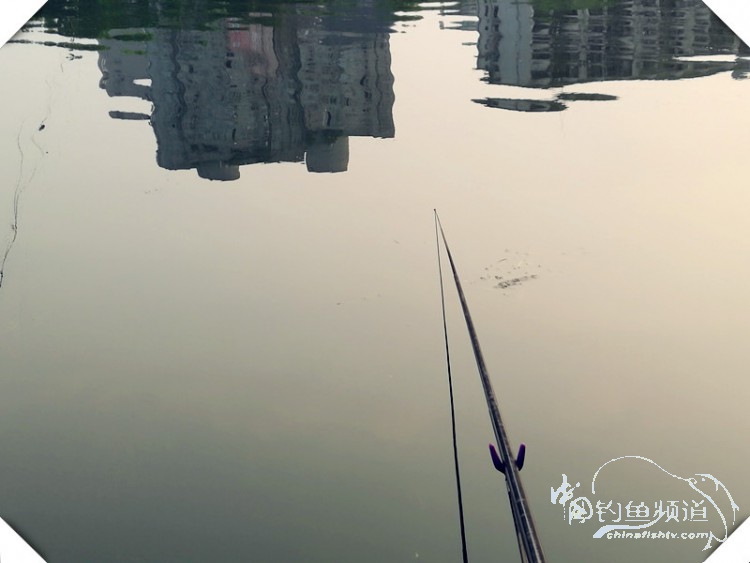 早起的鸟儿有虫吃动画,早起的鸟儿有虫吃故事