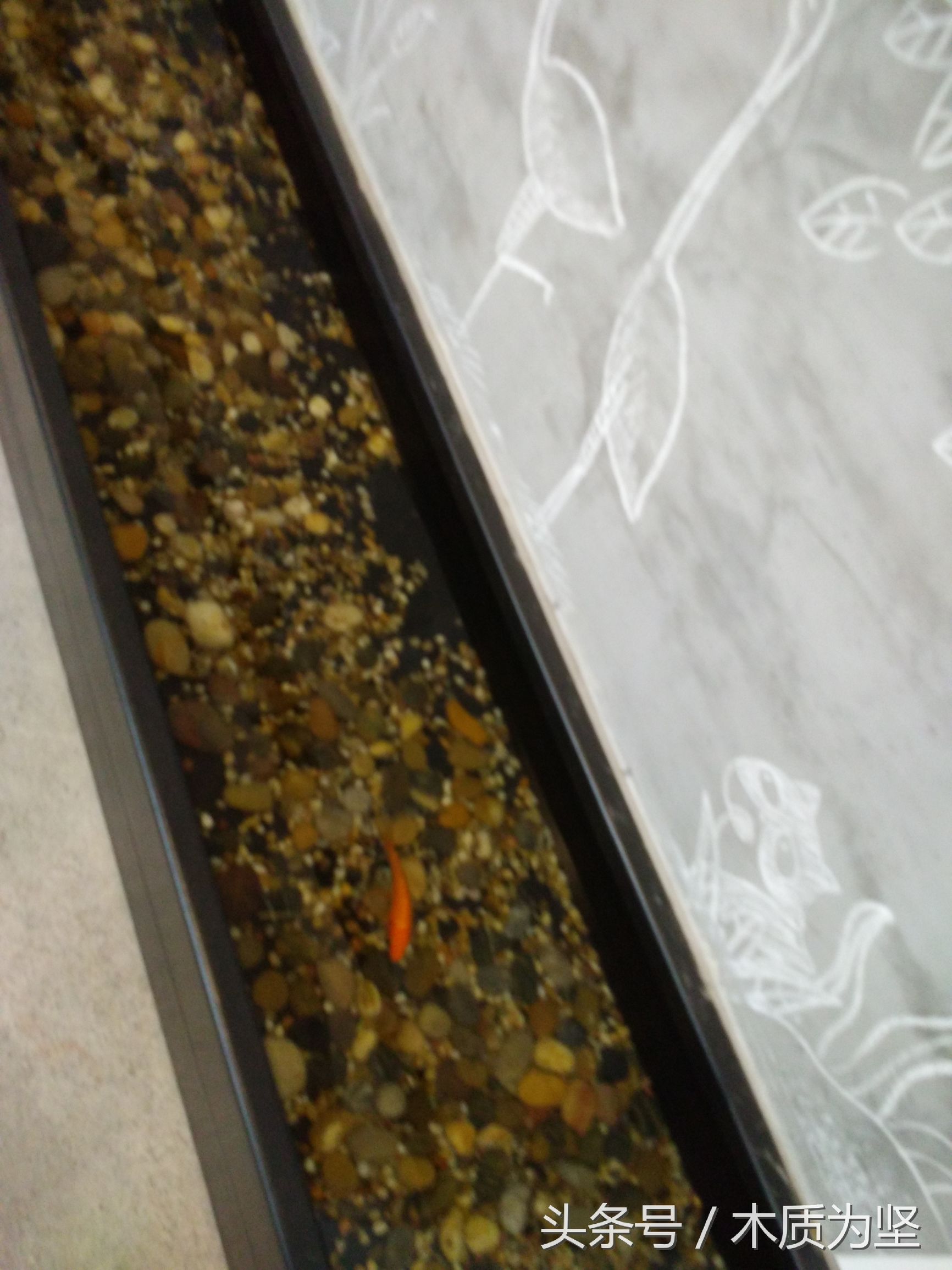 拜访深圳创客空间，看到了凤凰卫视曾做专访的角落（2）。。。