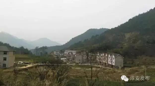 大墅介绍,大墅简介