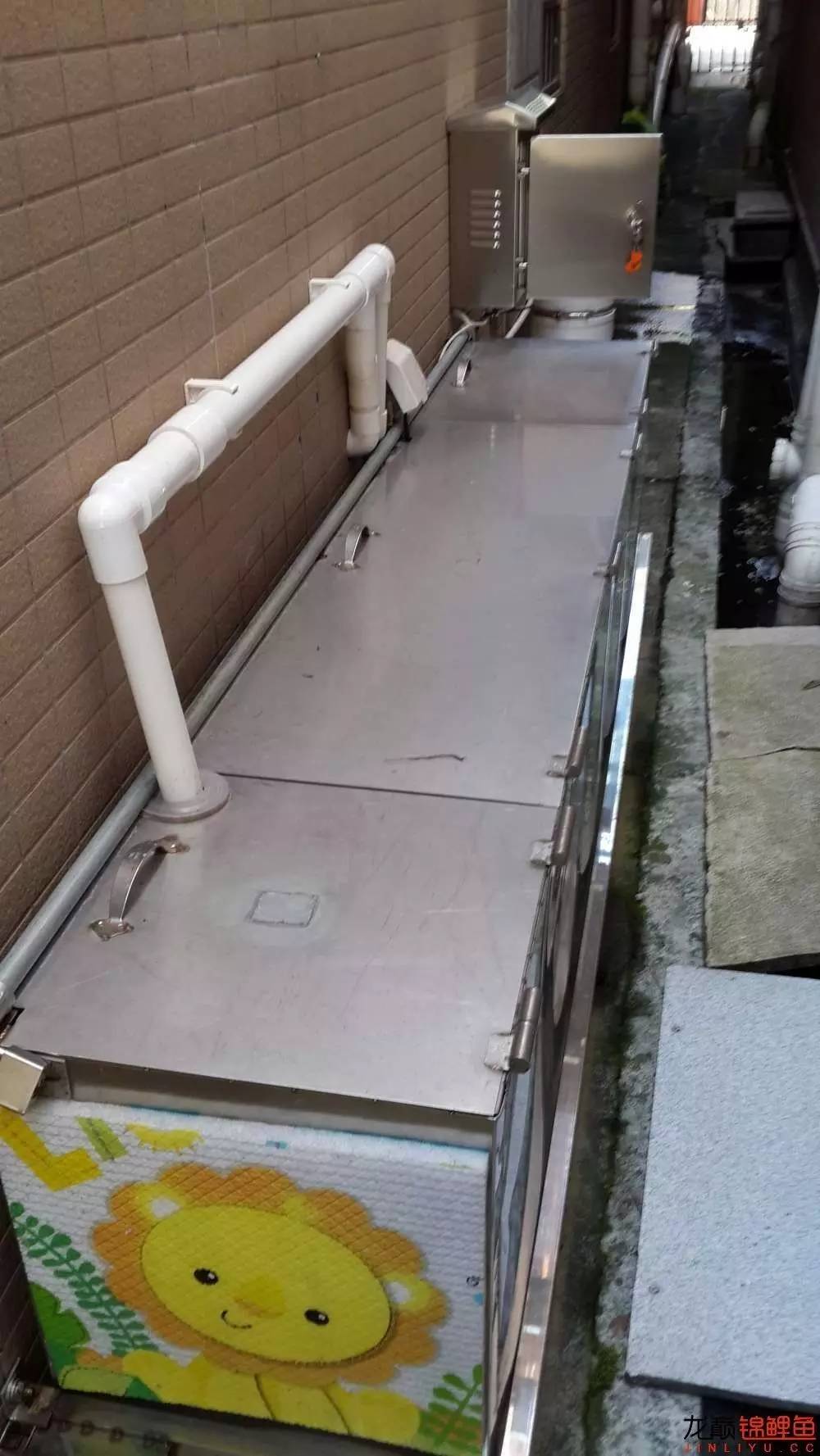 有效杀蚊,最好的杀蚊办法