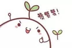 段静莉全运会,段静莉个人资料