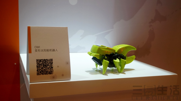 全球化的优势与挑战,亚马逊全球化