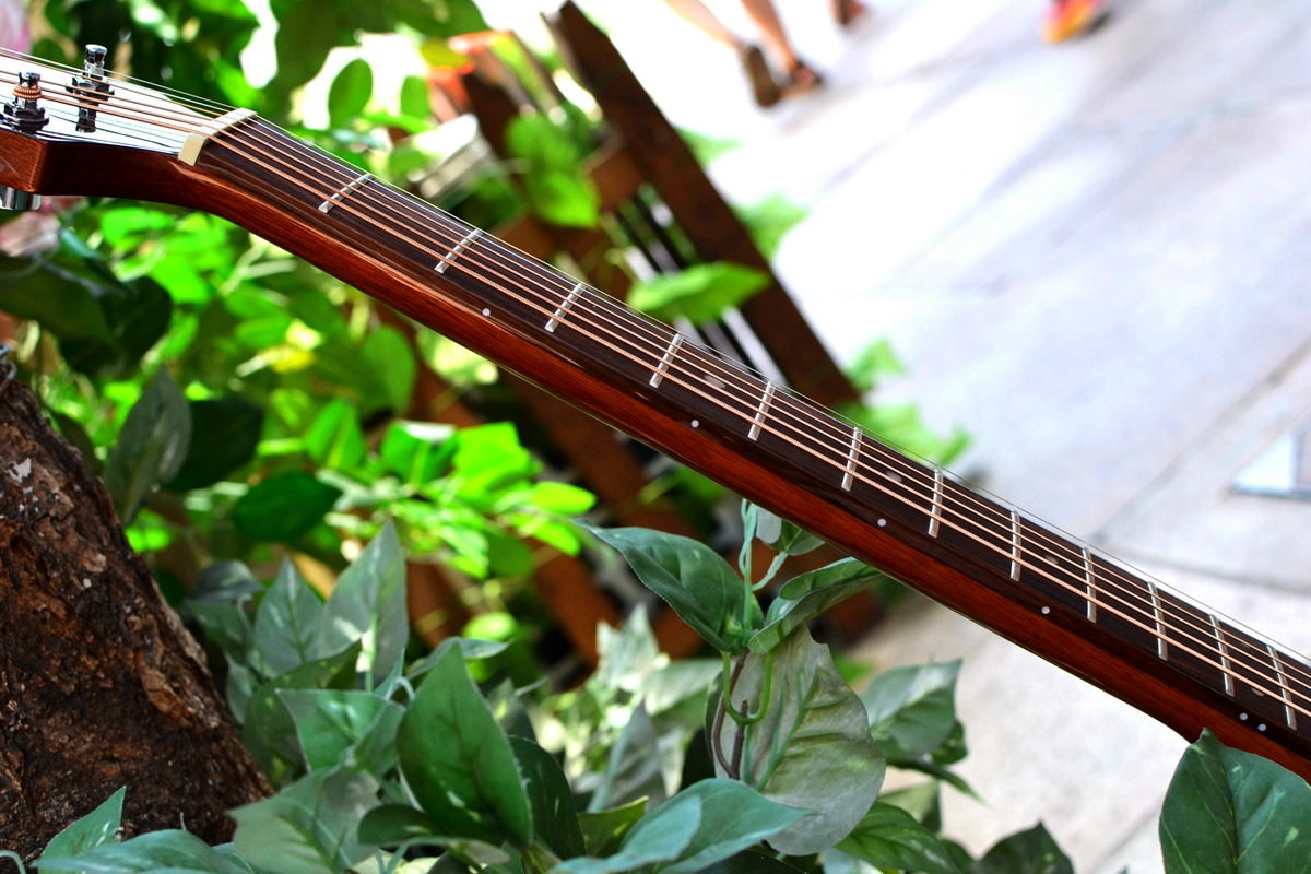 有声有色，久弹不累：乐果D10，吉他初学者的明智之选