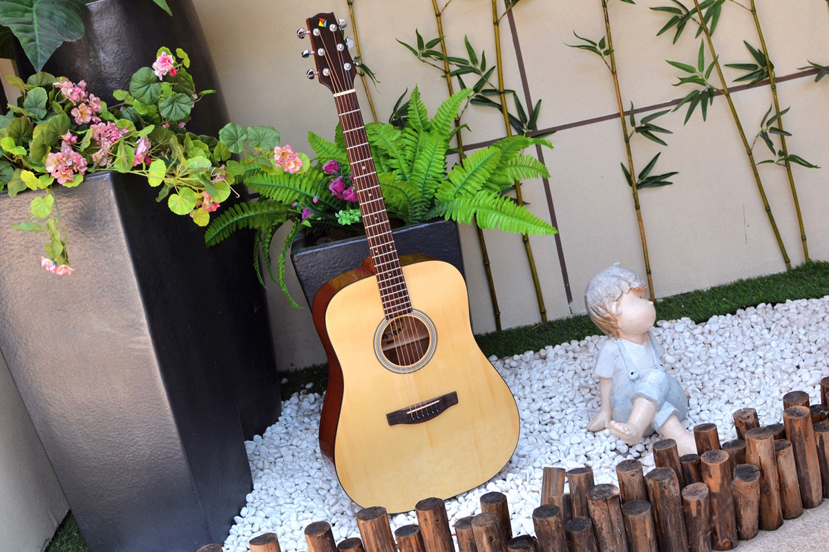 有声有色，久弹不累：乐果D10，吉他初学者的明智之选