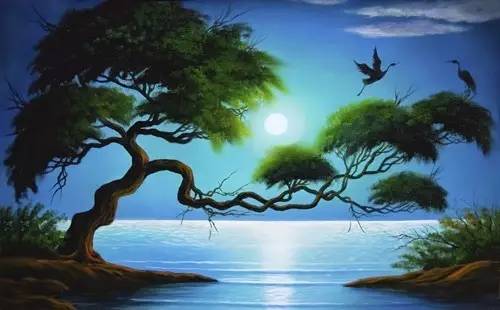 女排输给巴西完整视频,女排赢巴西震惊评价