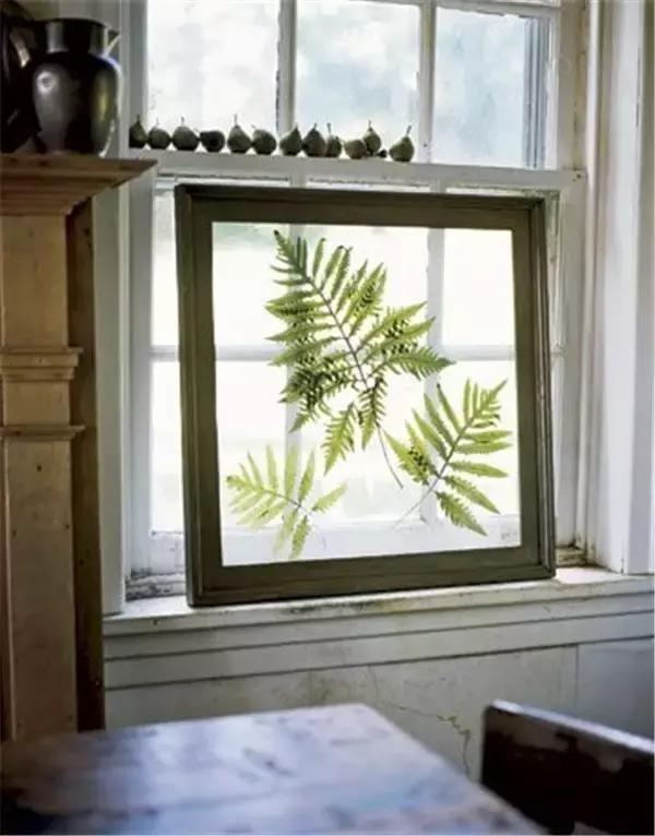 绿植盆栽都扔了,家里再穷也要丢掉的绿植