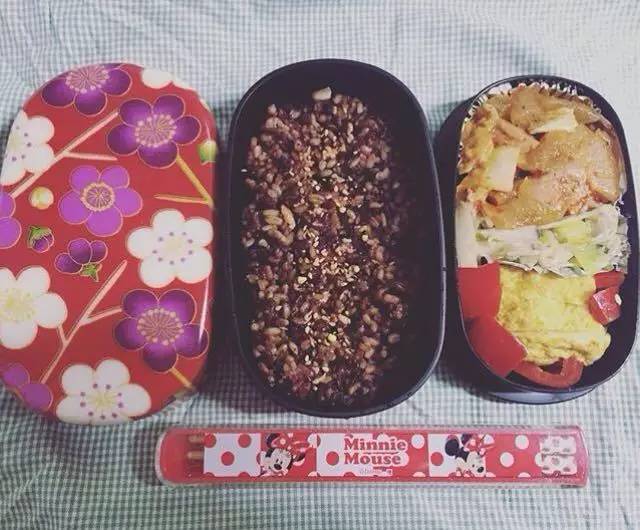 外卖吃腻了,又懒得带饭,那是因为你没有选好便当盒