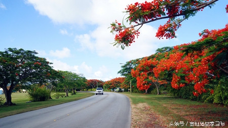 塞班岛自驾跑车游玩攻略,塞班岛自驾游最佳攻略