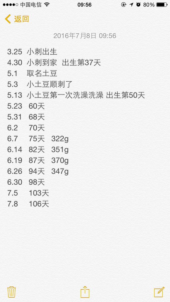 我家非洲迷你刺猬土豆的106天胖萌日记