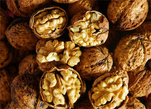 青少年怎样补脑补脑首选这些食物