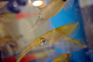 jr大阪一日游,大阪jr旅游攻略