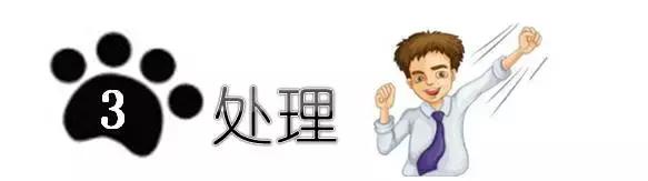 反贪手段怎么调查,反贪局抓捕小贪官电视剧