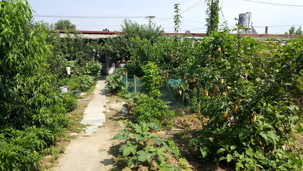 乐亭碧海渔家,乐亭碧海渔家怎么样