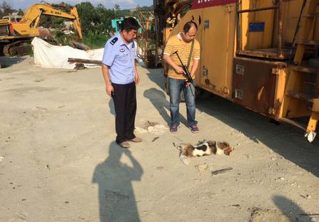 爱狗人与打狗队发生打架,爱狗与虐狗