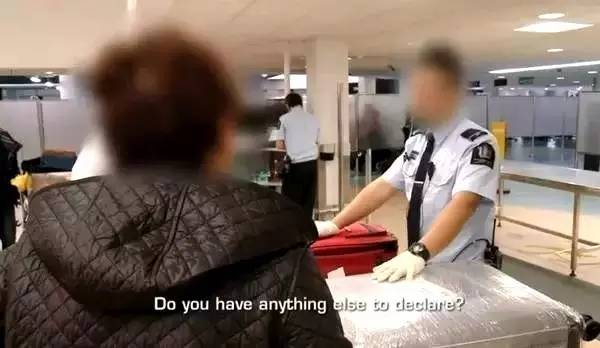 关注︱仅为含饴弄孙，为何这对中国老夫妇被新西兰禁止入境？罪魁祸首竟然指向它！